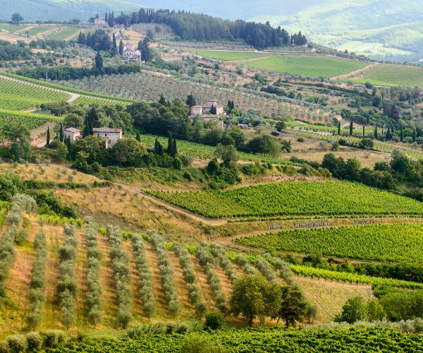 Chianti