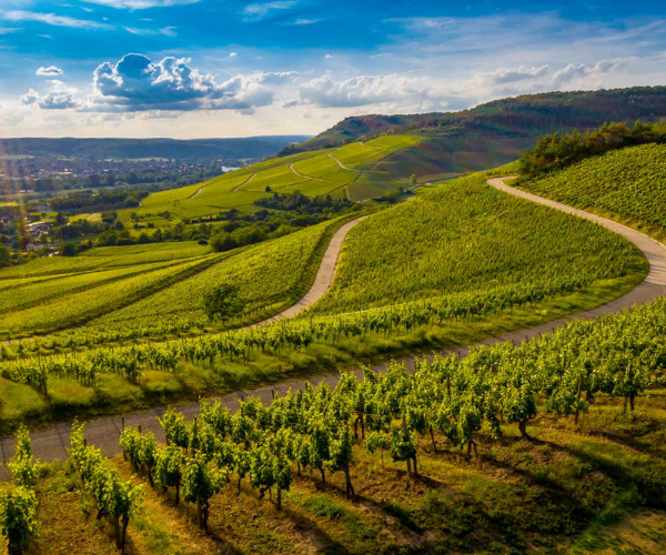 Route des Grands Crus