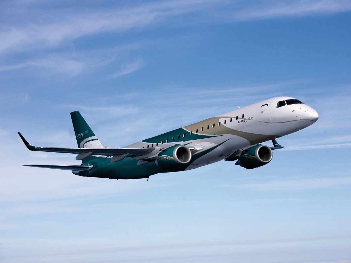 VIP Airliner (2)